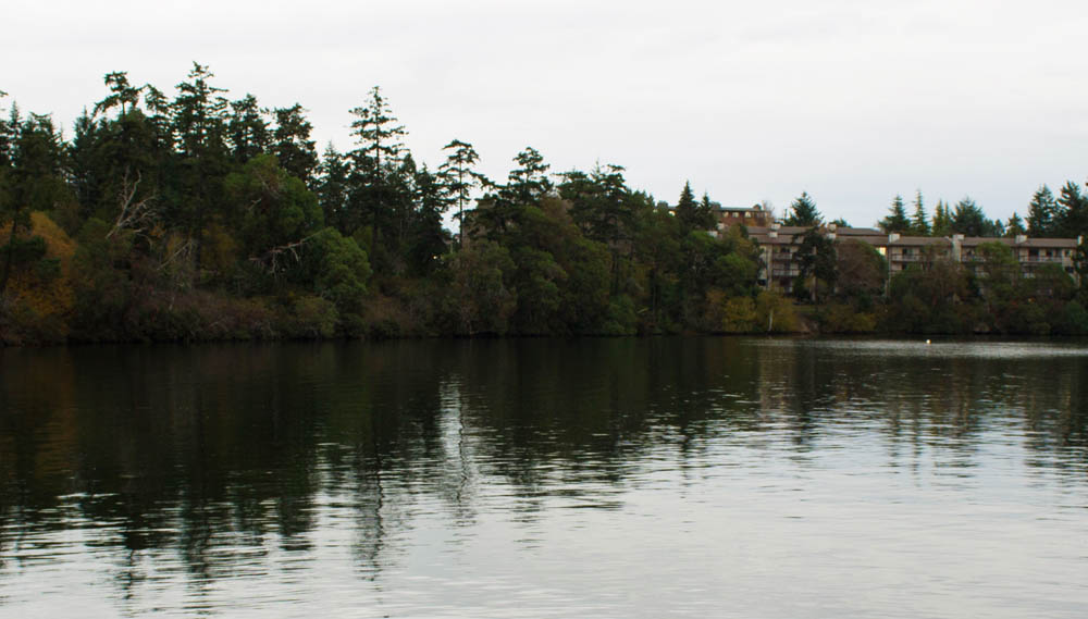 Canoes in the water prepare for the much looked forward to Gorge Regatta. 