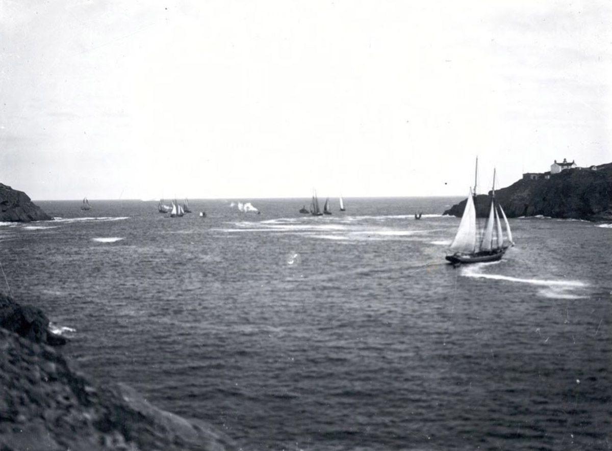 Schooners in the Narrows