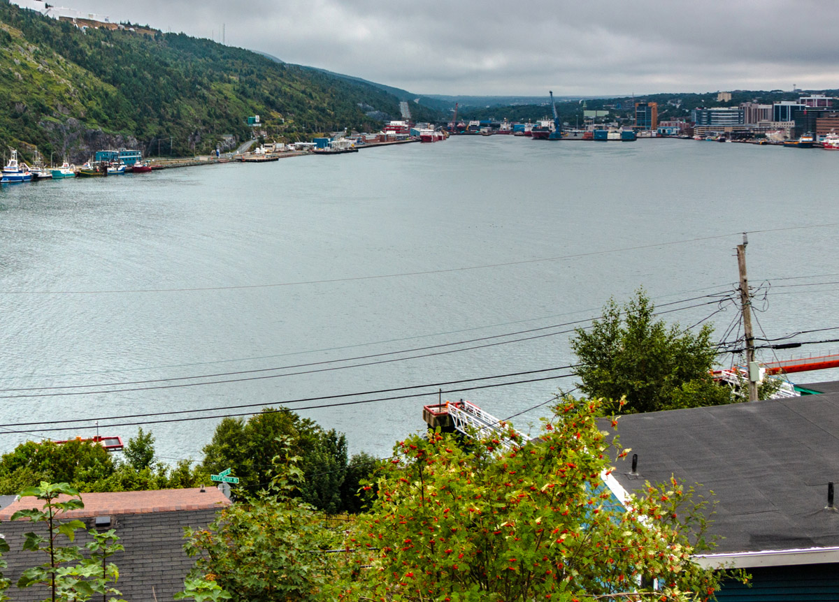 SS Newfoundland